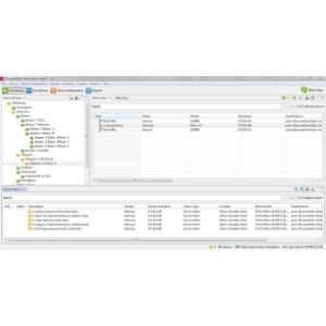 Data Center Expert: 1 Year Virtual Software Support