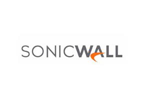 Software Support 24x7 - Technical Support - Phone Consulting - For - Nsv 25 Microsoft KVM 1 Year