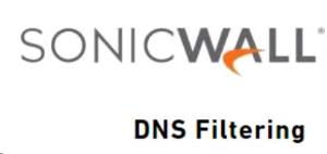 Dns Filtering Service - For  - Nsa 2700 - 3 Years