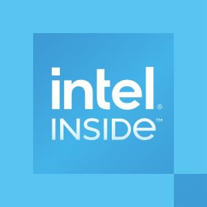 Processor 300 3.9 GHz 6MB Cache Tray