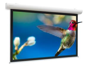 Projecta Elpro Concept  231x370 Wide (16:10) Matte White