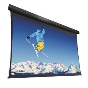 Projecta Extensa Ws 244x390 Hd Progressi (10102261)