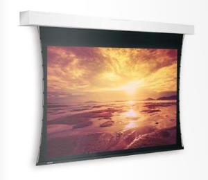 Projecta Screen Case Tensioned Descender (10800134)