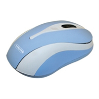 Optical USB Mouse 800dpi Blue Color